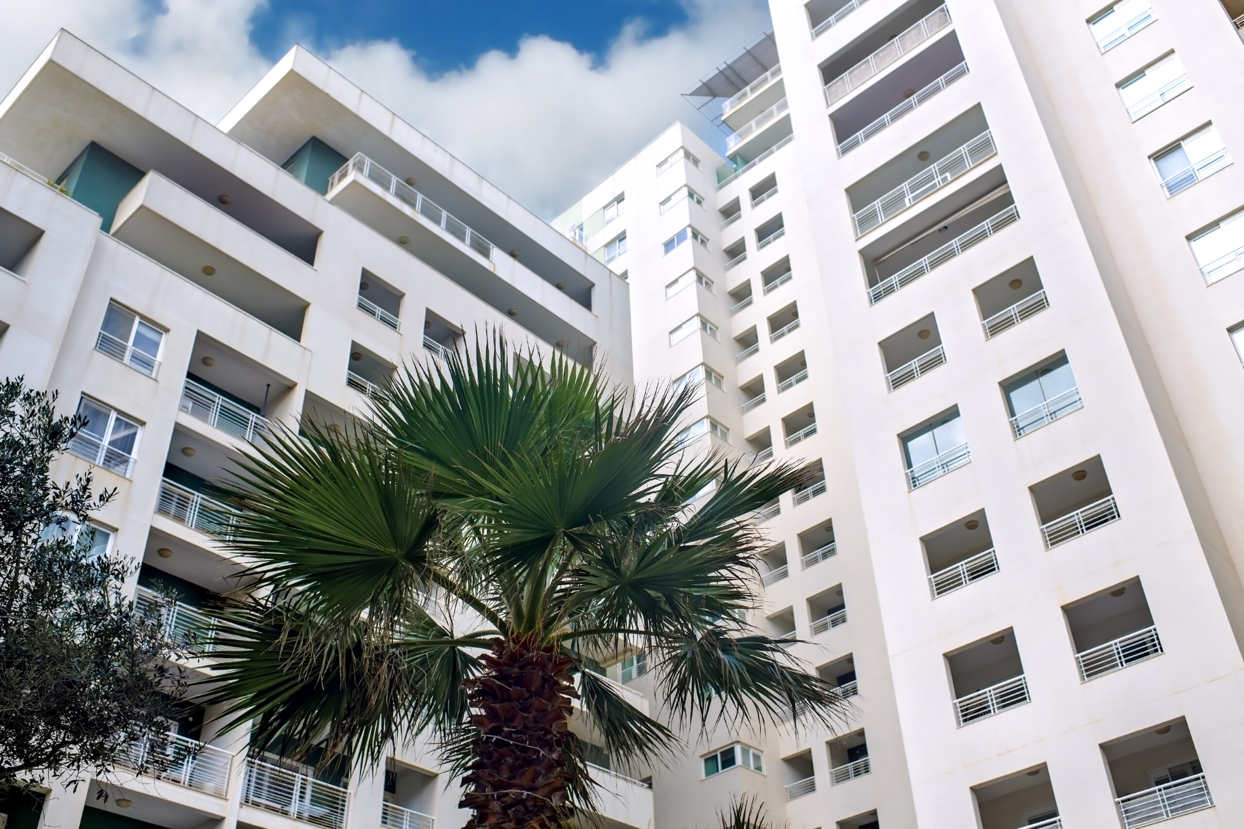 The Patrician, Palm Beach (2019-2022)